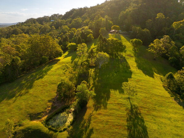 Listing image for 79 Isambert Road, Glenview  QLD  4553