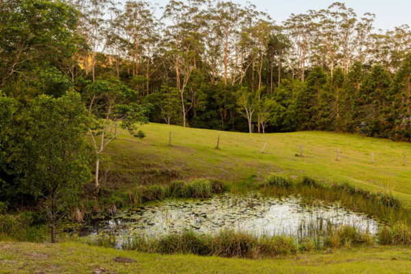 Listing image for 79 Isambert Road, Glenview  QLD  4553