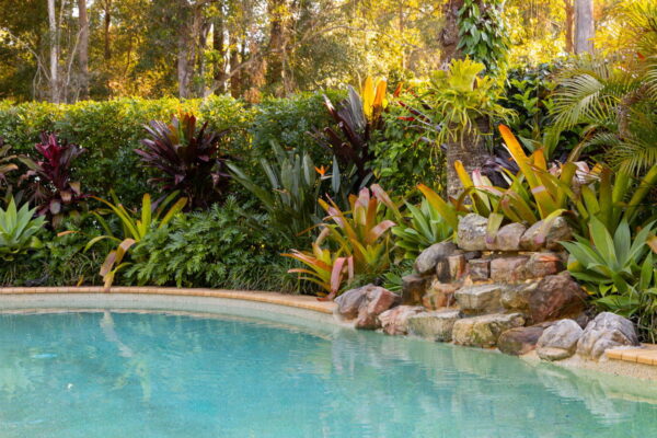 Listing image for 24 Sundown Close, Tanawha  QLD  4556