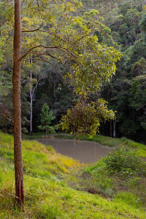Listing image for 121 Old Maleny Road, Landsborough  QLD  4550