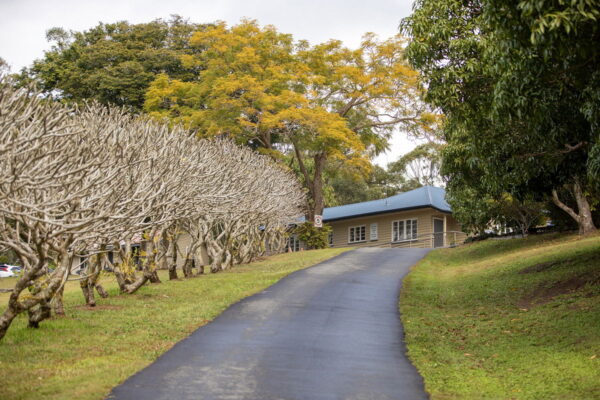 Listing image for 171 Diamond Valley Road, Diamond Valley  QLD  4553