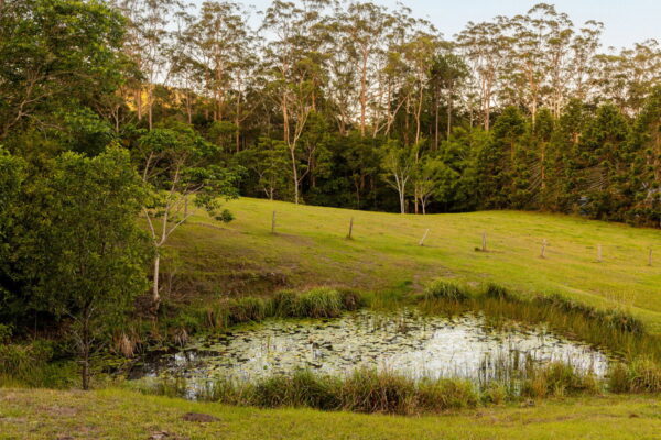 Listing image for 79 Isambert Road, Glenview  QLD  4553