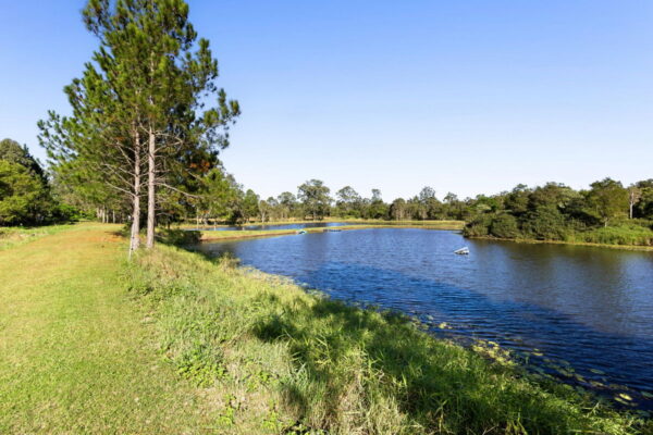 Listing image for 12 Freshwater Court, Glenview  QLD  4553