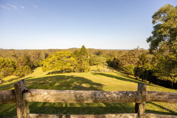 Listing image for 79 Isambert Road, Glenview  QLD  4553