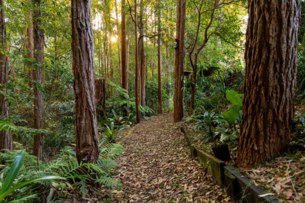 Listing image for 24 Sundown Close, Tanawha  QLD  4556