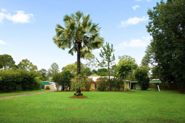Listing image for 4 Idris Court, Landsborough  QLD  4550