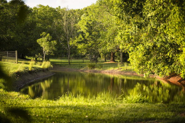 Listing image for 48 Hamilton Close, Mooloolah Valley  QLD  4553