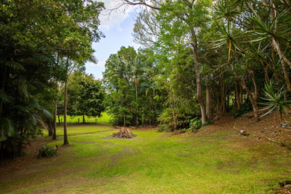 Listing image for 5 Bloodwood Close, Mooloolah Valley  QLD  4553