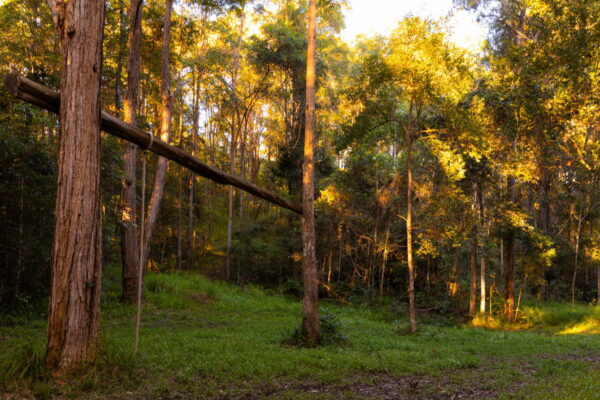 Listing image for 121 Old Maleny Road, Landsborough  QLD  4550