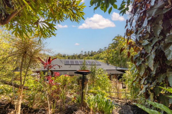 Listing image for 14 Blackbean Court, Buderim  QLD  4556