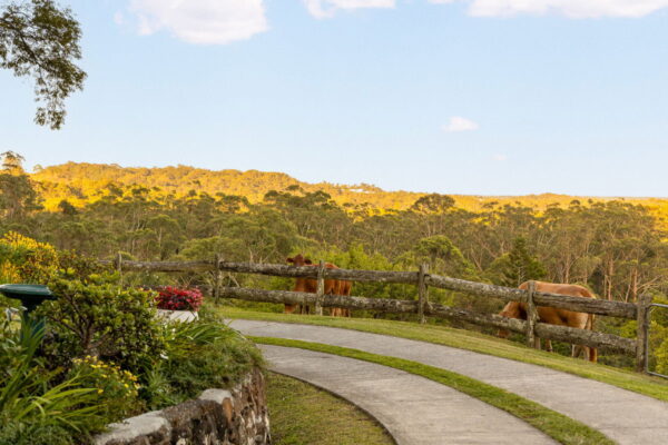 Listing image for 79 Isambert Road, Glenview  QLD  4553