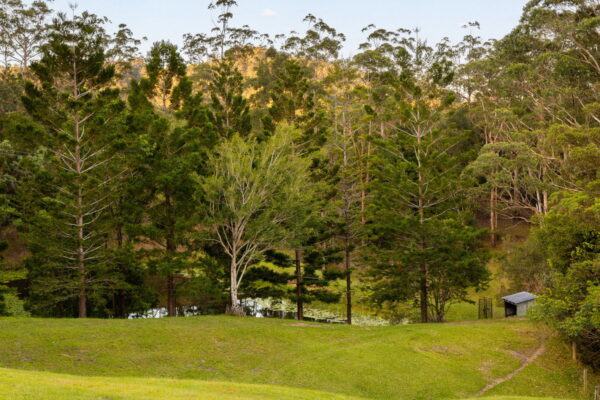 Listing image for 79 Isambert Road, Glenview  QLD  4553