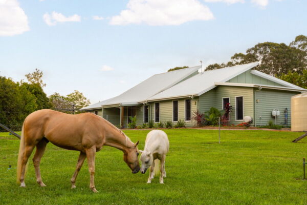 Listing image for 48 Hamilton Close, Mooloolah Valley  QLD  4553