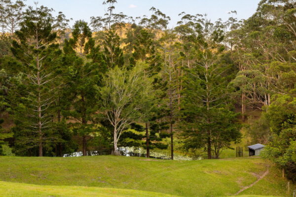 Listing image for 79 Isambert Road, Glenview  QLD  4553