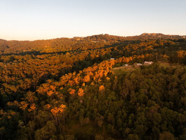 Listing image for 121 Old Maleny Road, Landsborough  QLD  4550