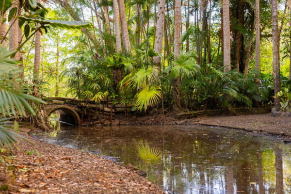 Listing image for 685 Glenview Road, Glenview  QLD  4553