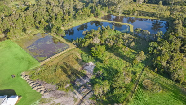 Listing image for 12 Freshwater Court, Glenview  QLD  4553