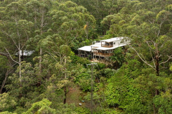 Listing image for 39 Kirbys Road, Palmwoods  QLD  4555