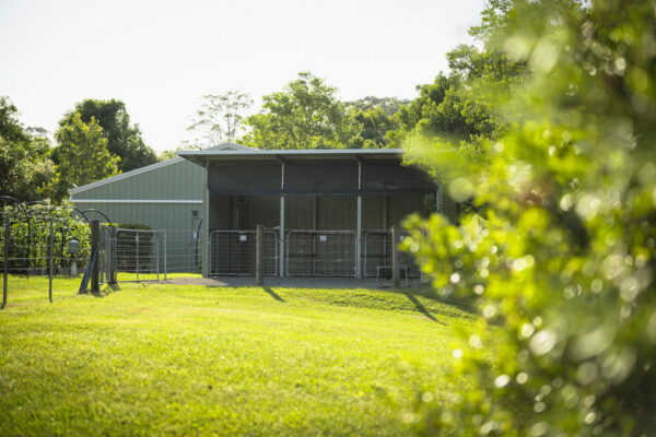 Listing image for 48 Hamilton Close, Mooloolah Valley  QLD  4553