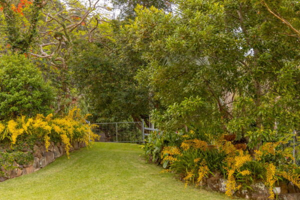 Listing image for 79 Isambert Road, Glenview  QLD  4553