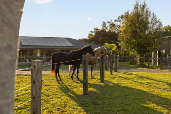 Listing image for 137 Old Gympie Road, Mooloolah Valley  QLD  4553