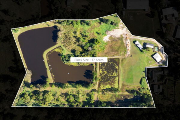 Listing image for 12 Freshwater Court, Glenview  QLD  4553