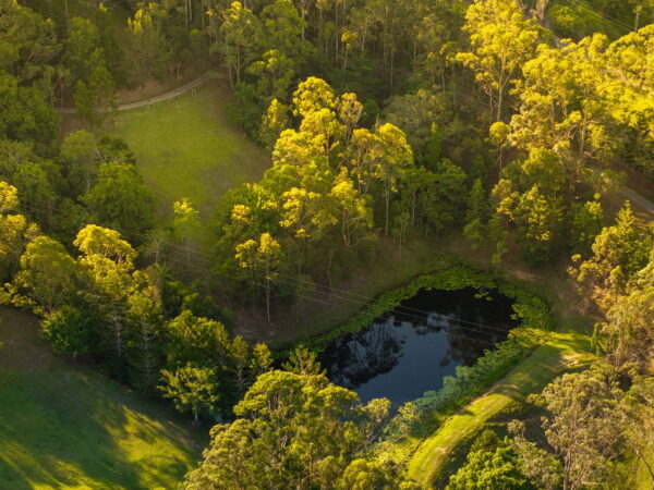 Listing image for 79 Isambert Road, Glenview  QLD  4553