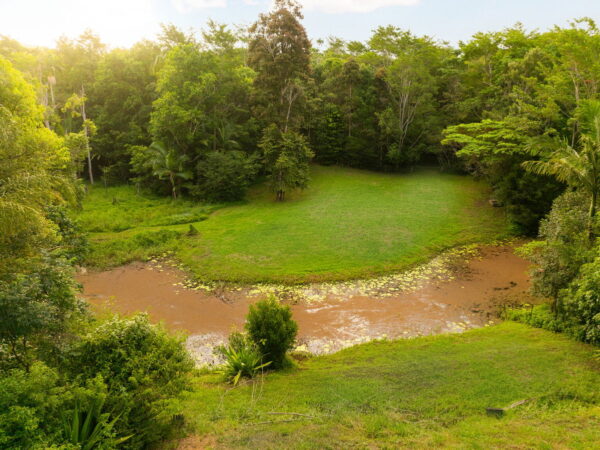 Listing image for 67 Andersen Road, Diamond Valley  QLD  4553